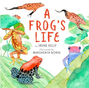 Bookjacket for A frog's life
